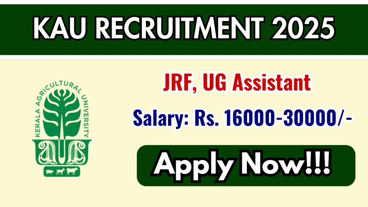 KAU Recruitment 2025 - Apply Offline for 02 Junior Research Fellow, UG Assistant Posts KAU Recruitment 2025 - Apply Offline for 02 Junior Research Fellow, UG Assistant Posts