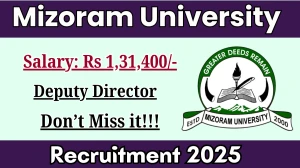 Mizoram University Deputy Director Recruitment 2025 - Apply Online