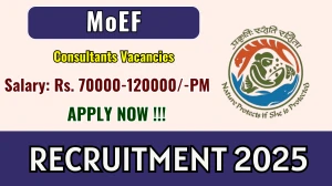 MoEF Consultants Recruitment 2025 - Apply Offline for 04 Posts MoEF Consultants Recruitment 2025 - Apply Offline for 04 Posts