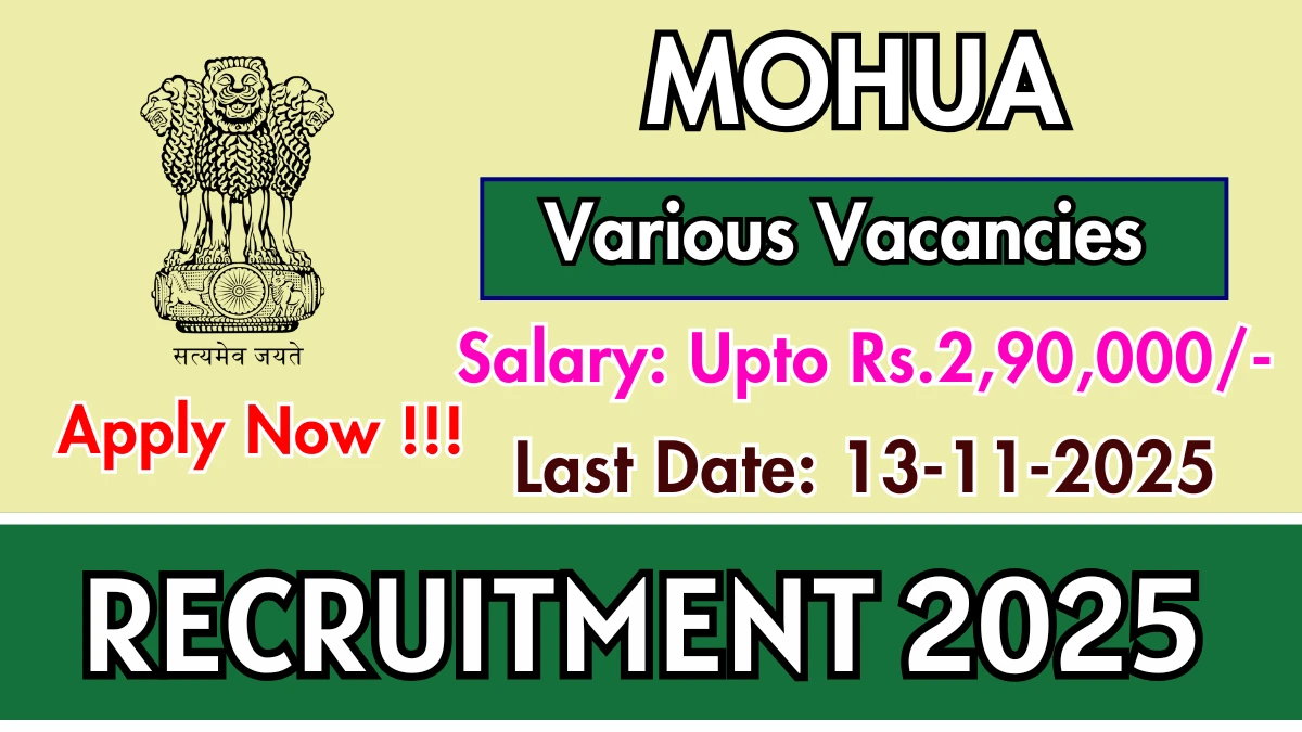 MOHUA Recruitment 2025 - Apply Online for 08 Project Coordinator, Tester and More Posts MOHUA Recruitment 2025 - Apply Online for 08 Project Coordinator, Tester and More Posts
