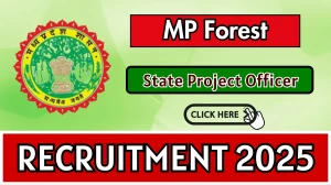 MP Forest State Project Officer Recruitment 2025 - Apply Offline MP Forest State Project Officer Recruitment 2025 - Apply Offline