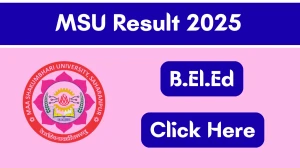 MSU Result 2025 Out at msuresults.com Direct Link to Download 1st, 2nd and 3rd Semester Result
