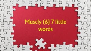 Muscly 7 Little Words 6 letters Answer