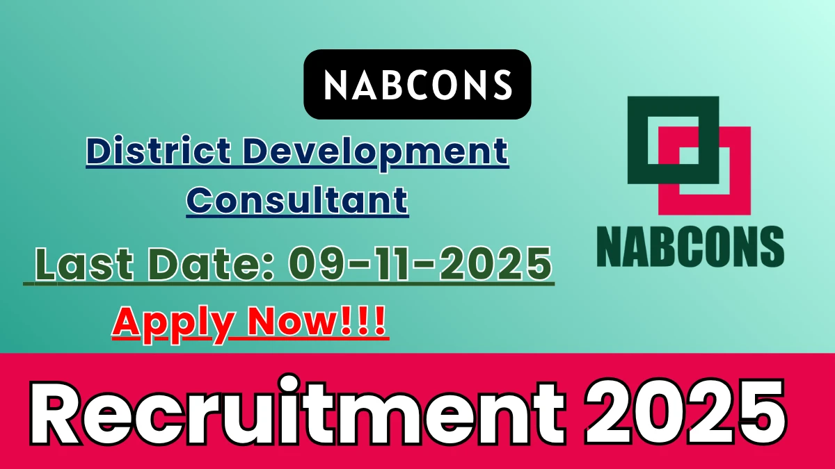 NABCONS District Development Consultant Recruitment 2025 - Apply Online NABCONS District Development Consultant Recruitment 2025 - Apply Online