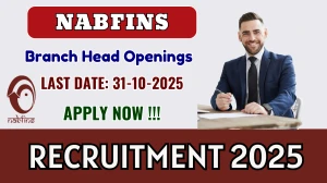 NABFINS Branch Head Recruitment 2025 - Apply Online