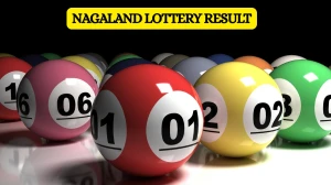 Nagaland Dear Lottery Sambad Result Today 03-10-2025 1 PM OUT: Check all Dear Meghna Friday Winning Numbers Here