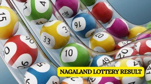 Nagaland Dear Lottery Sambad Result Today 03-10-2025 8 PM OUT: Check all Dear SeaGull Friday Winning Numbers Here