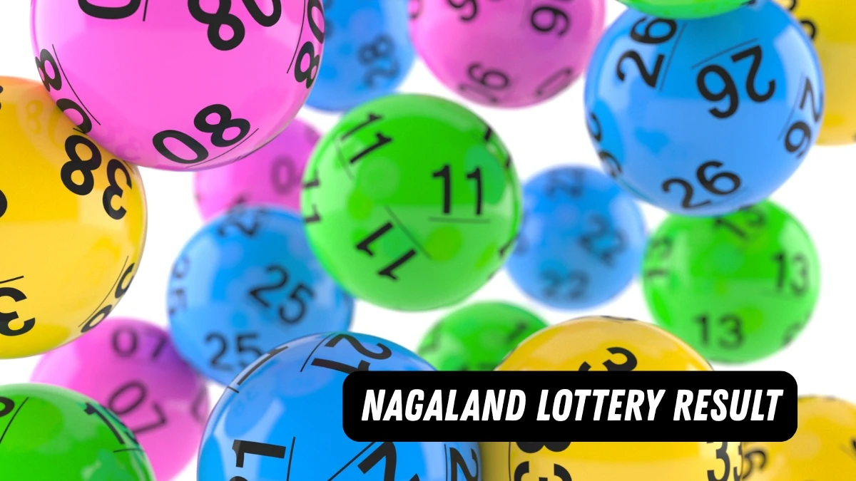Nagaland Dear Lottery Sambad Result Today 15-10-2025 8 PM OUT: Check all Dear Pelican Wednesday Winning Numbers Here