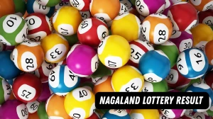 Nagaland Dear Lottery Sambad Result Today 18-10-2025 6 PM OUT: Check all Dear Elite Saturday Winning Numbers Here