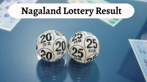 Nagaland Dear Lottery Sambad Result Today 18-10-2025 8 PM OUT: Check all Dear Stork Saturday Winning Numbers Here