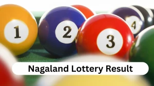 Nagaland Dear Lottery Sambad Result Today 20-10-2025 1 PM OUT: Check all Dear Dwarka Monday Winning Numbers Here