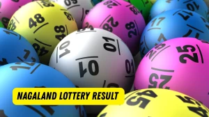 Nagaland Dear Lottery Sambad Result Today 21-10-2025 1 PM OUT: Check all Dear Godavari Tuesday Winning Numbers Here