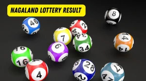 Nagaland Dear Lottery Sambad Result Today 21-10-2025 8 PM OUT: Check all Dear Goose Tuesday Winning Numbers Here