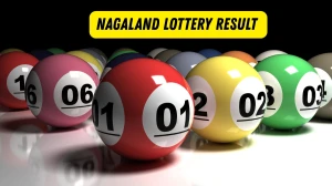 Nagaland Dear Lottery Sambad Result Today 22-10-2025 8 PM OUT: Check all Dear Pelican Wednesday Winning Numbers Here