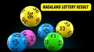 Nagaland Dear Lottery Sambad Result Today 24-10-2025 6 PM OUT: Check all Dear Cr...