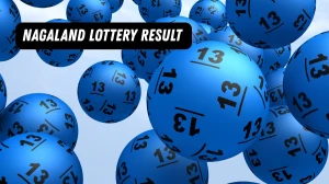 Nagaland Dear Lottery Sambad Result Today 24-10-2025 8 PM OUT: Check all Dear Se...