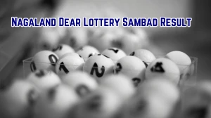 Nagaland Dear Lottery Sambad Result Today 27-10-2025 1 PM OUT: Check all Dear Dw...