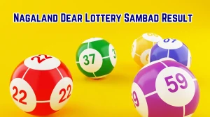 Nagaland Dear Lottery Sambad Result Today 28-10-2025 8 PM OUT: Check all Dear Go...