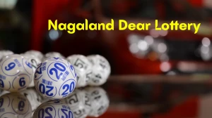 Nagaland Dear Lottery Sambad Result Today 31-10-2025 1 PM OUT : Check all Dear M...