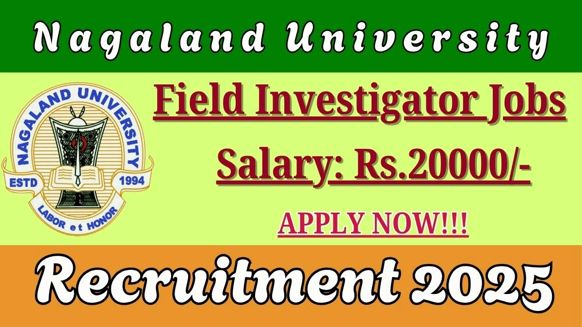 Nagaland University Field Investigator Recruitment 2025 - Apply Offline for 2 Posts Nagaland University Field Investigator Recruitment 2025 - Apply Offline for 2 Posts