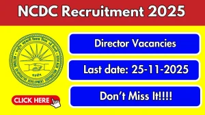 NCDC Director Recruitment 2025 - Apply Offline