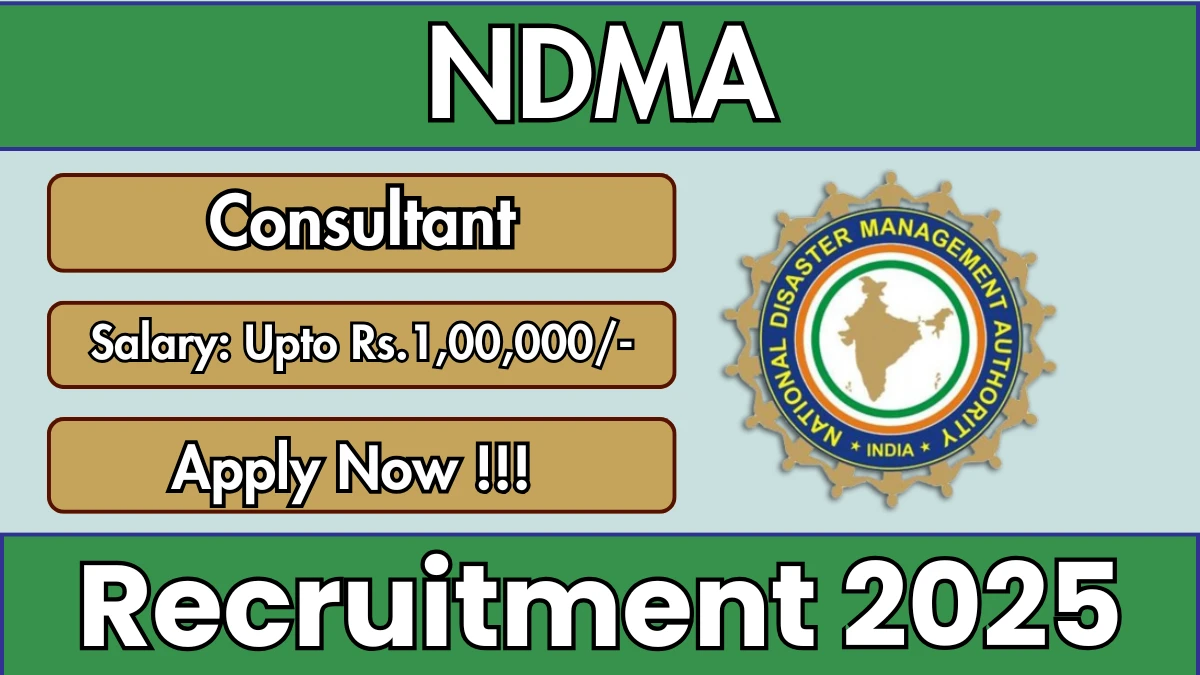 NDMA Consultant Recruitment 2025 - Apply Offline NDMA Consultant Recruitment 2025 - Apply Offline