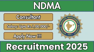 NDMA Consultant Recruitment 2025 - Apply Offline