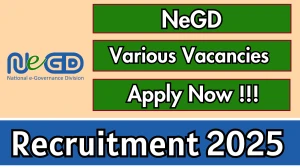 NeGD Full Recruitment 2025 - Apply Online for 05 Stack Developer, UI/ UX Designer and More Posts