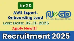 NeGD Recruitment 2025 - Apply Online for 02 AWS Expert, Onboarding Lead Posts