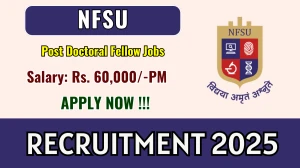 NFSU Post Doctoral Fellow Recruitment 2025 - Apply Offline for 01 Posts NFSU Post Doctoral Fellow Recruitment 2025 - Apply Offline for 01 Posts
