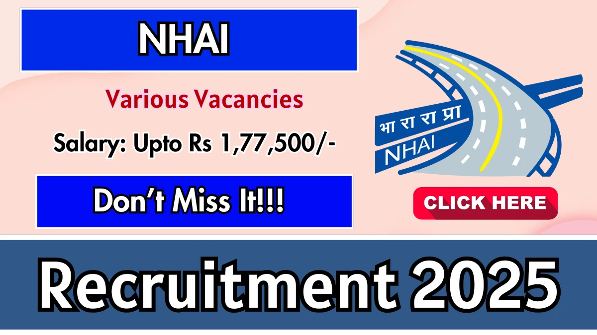 NHAI Recruitment 2025 - Apply Online for 84 Accountant, Stenographer and Other Posts NHAI Recruitment 2025 - Apply Online for 84 Accountant, Stenographer and Other Posts
