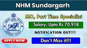 NHM Sundargarh Recruitment 2025 – Walk in for 15 MO, Part Time Specialist Posts