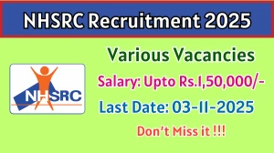 NHSRC Recruitment 2025 - Apply Online for Senior Consultant, Secretarial Executive and More