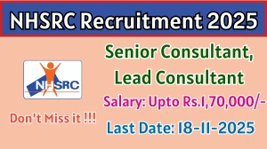 NHSRC Senior Consultant, Lead Consultant Recruitment 2025 - Apply Online
