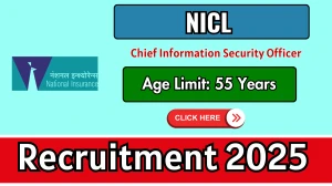 NICL Chief Information Security Officer Recruitment 2025 - Apply Offline