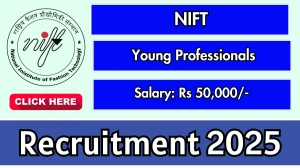 NIFT Young Professionals Recruitment 2025 - Apply Offline for 06 Posts
