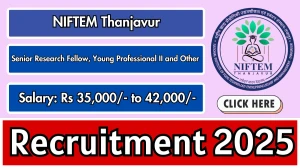 NIFTEM Thanjavur Recruitment 2025 – Walk in for 11 Senior Research Fellow, Young Professional II and Other Posts NIFTEM Thanjavur Recruitment 2025 – Walk in for 11 Senior Research Fellow, Young Professional II and Other Posts