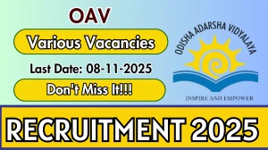 OAV Recruitment 2025 - Apply Offline for 05 Warden, Head Cook and More Posts