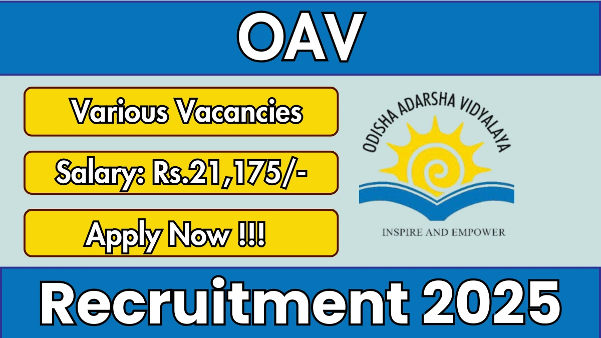 OAV Recruitment 2025 - Apply Offline for 05 Warden, Head Cook and More Posts