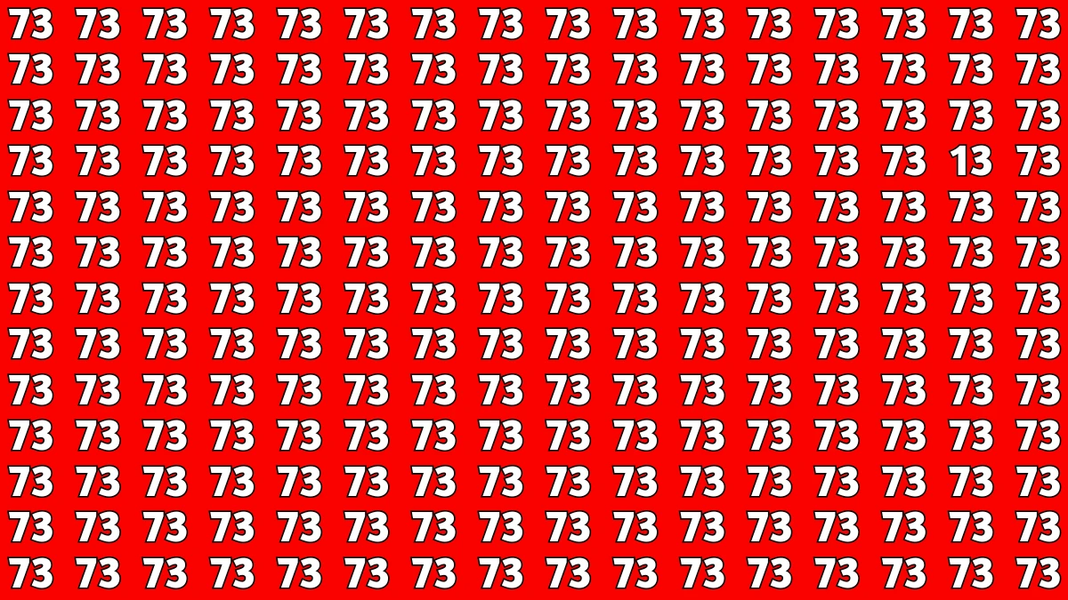 Observation Find it Out: Within 5 Seconds Spot The Number 13 among 73