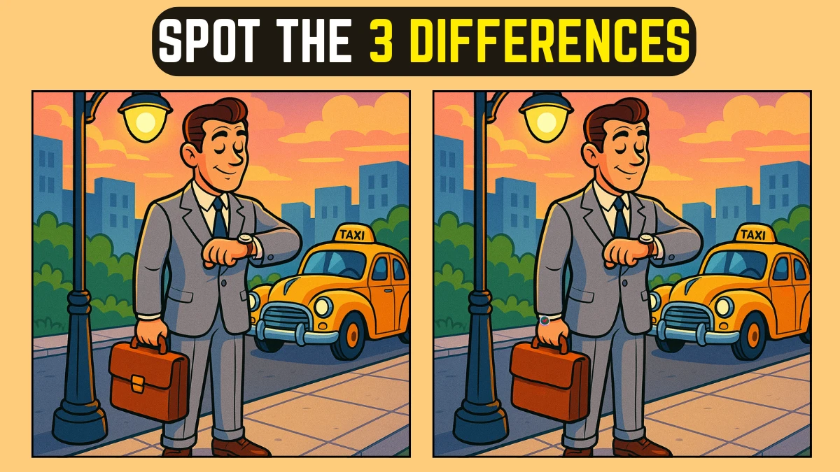 Only Eagle Eyes Can Spot All 3 Differences in this under 10 secs