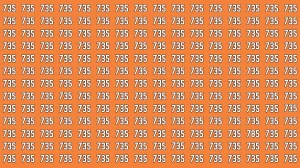 Optical Illusion 7 Challenge: Only People with Eagle Eyes Can spot the Number 78...