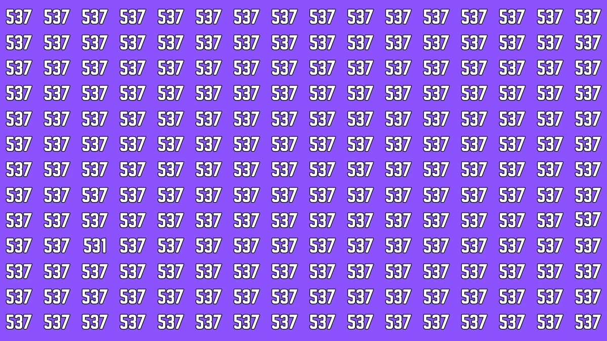 Optical Illusion 7 Seconds Challenge: Only People with Eagle Eyes Can spot the Number 531