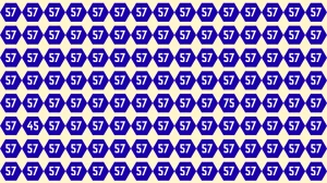 Optical Illusion Eye Test Challenge: Within 7 Seconds Spot The Number 45 and 75 ...