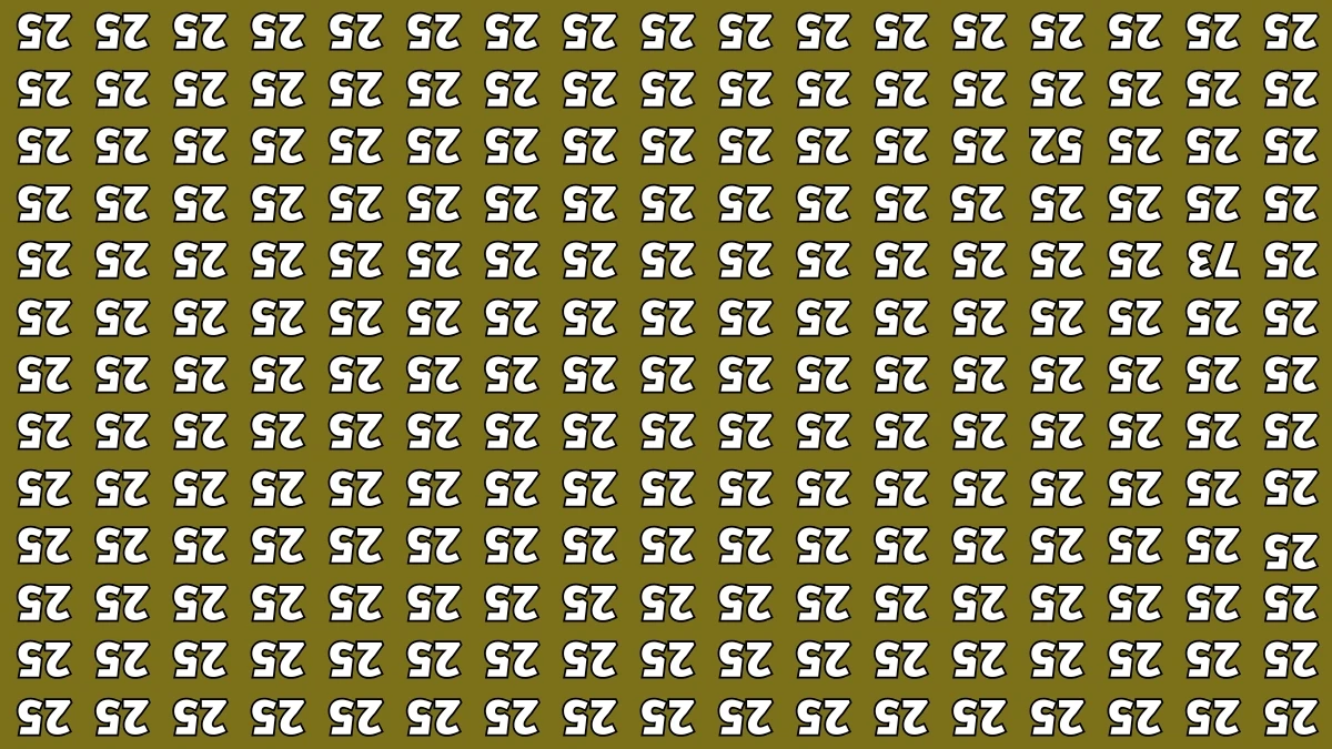 Optical Illusion IQ Test: Are You A Genius? Within 5 Seconds Spot The Inverted 52 among Inverted 25