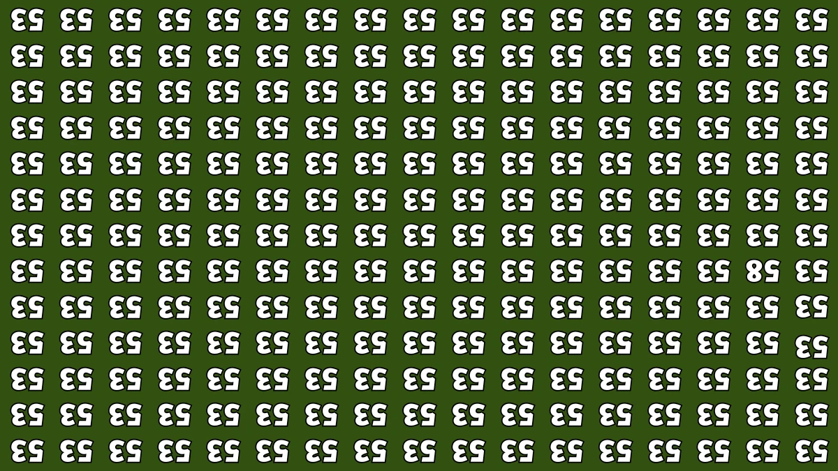 Optical Illusion IQ Test: Are You A Genius? Within 5 Seconds Spot The Inverted 58 among Inverted 53s