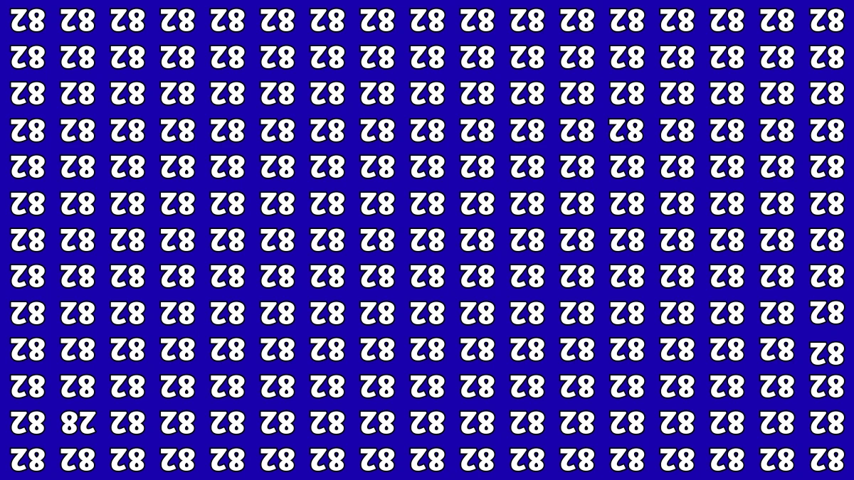 Optical Illusion IQ Test: Are You A Genius? Within 8 Seconds Spot The Inverted 28 among Inverted 82s