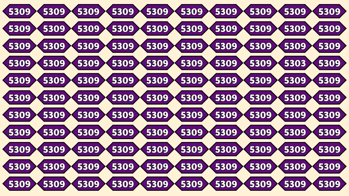 Optical Illusion Puzzle IQ Test: Within 9 Seconds Spot The Number 5303 among 5309