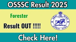 OSSSC Forester Result 2025 Declared: Download at osssc.gov.in