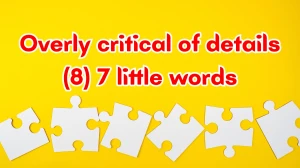 Overly critical of details 7 Little Words 8 letters Answer